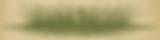 grass.png