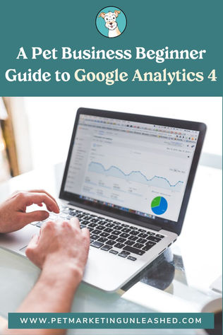 A Pet Business Beginner Guide to Google Analytics 4