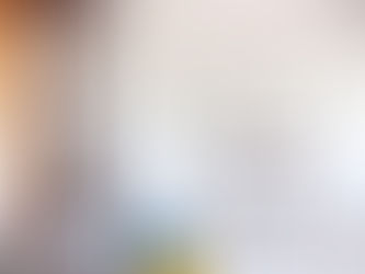 Why Hire a Professional Painter?