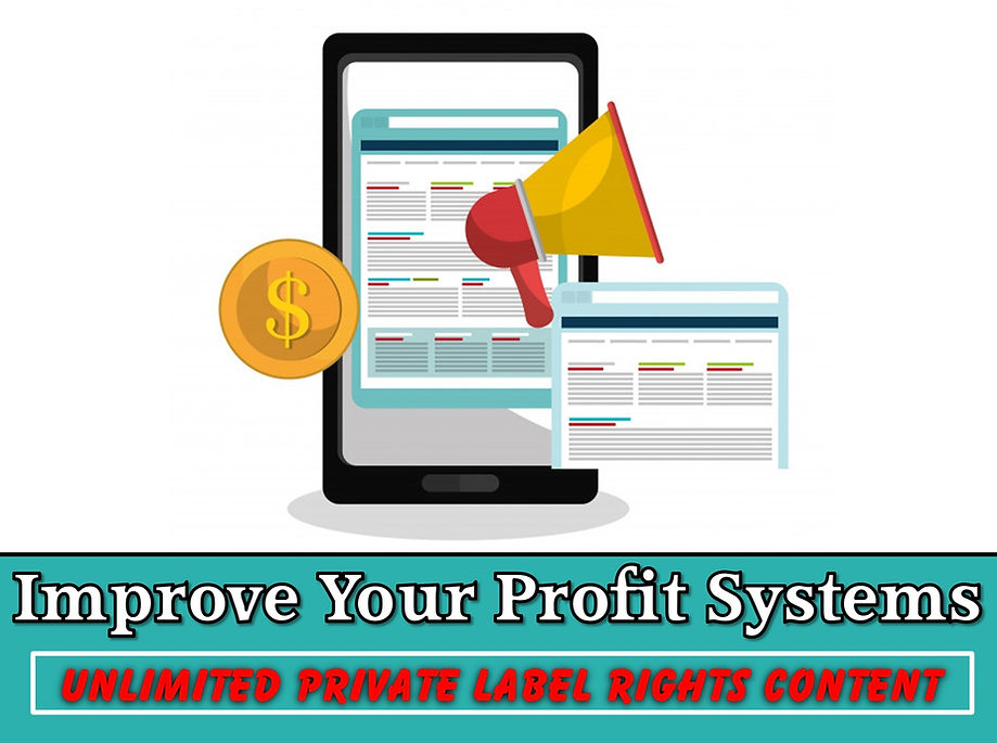 Improve Your Profit Systems