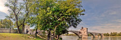  Le pont St Bénezet à Avignon