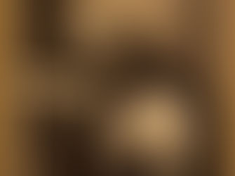 Фотографу Левицкому удалось снять семейную тайну императора