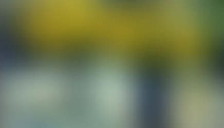 22 июля в Русском музее открывается выставка к 150-летию со дня рождения Игоря Грабаря