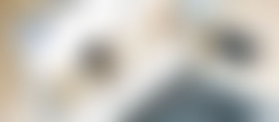 Портал "Музейная Москва онлайн" подготовил выставку к 145-летию художника Кончаловского