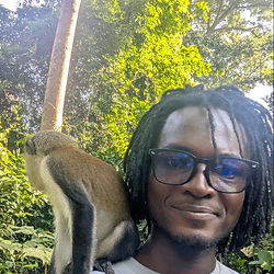 Mona Monkey on the shoulders of a man