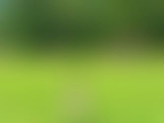 Tours That Focus on Sustainable Tourism in Ghana