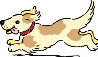 See Spot Run!