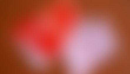 Zaragoza public transport climb down on cashless plans