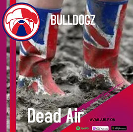 Podcast flyer - Made with PosterMyWall(10).jpg