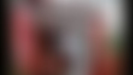 Kyokushin: a complete guide