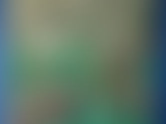 Quail in the Field - Final