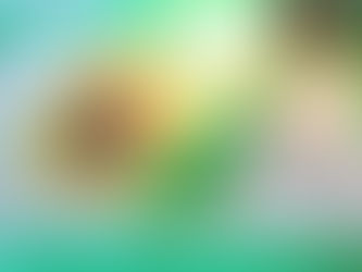 Painted Etchings on Muslin