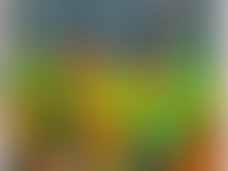 First Layers over the Colour Blocking