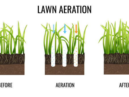 Why Fall Lawn Aeration Is Important For Your Michigan Lawn