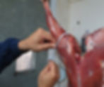 Flickr - Measuring leg circumference