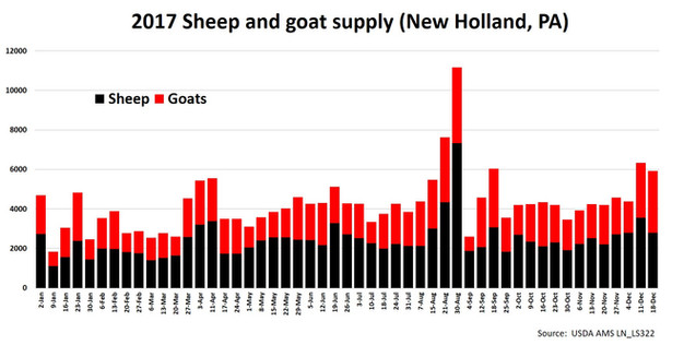 More Than 218 000 Sheep Goats Sold