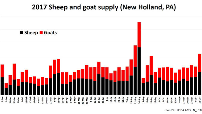 More than 218,000 sheep/goats sold