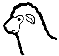 www.sheepandgoat.com