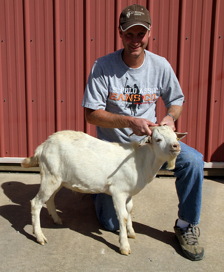 Can’T Take The Goat Test? – Anemia in Goats: Causes & What You Can Do ...