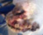 Nasty soremouth