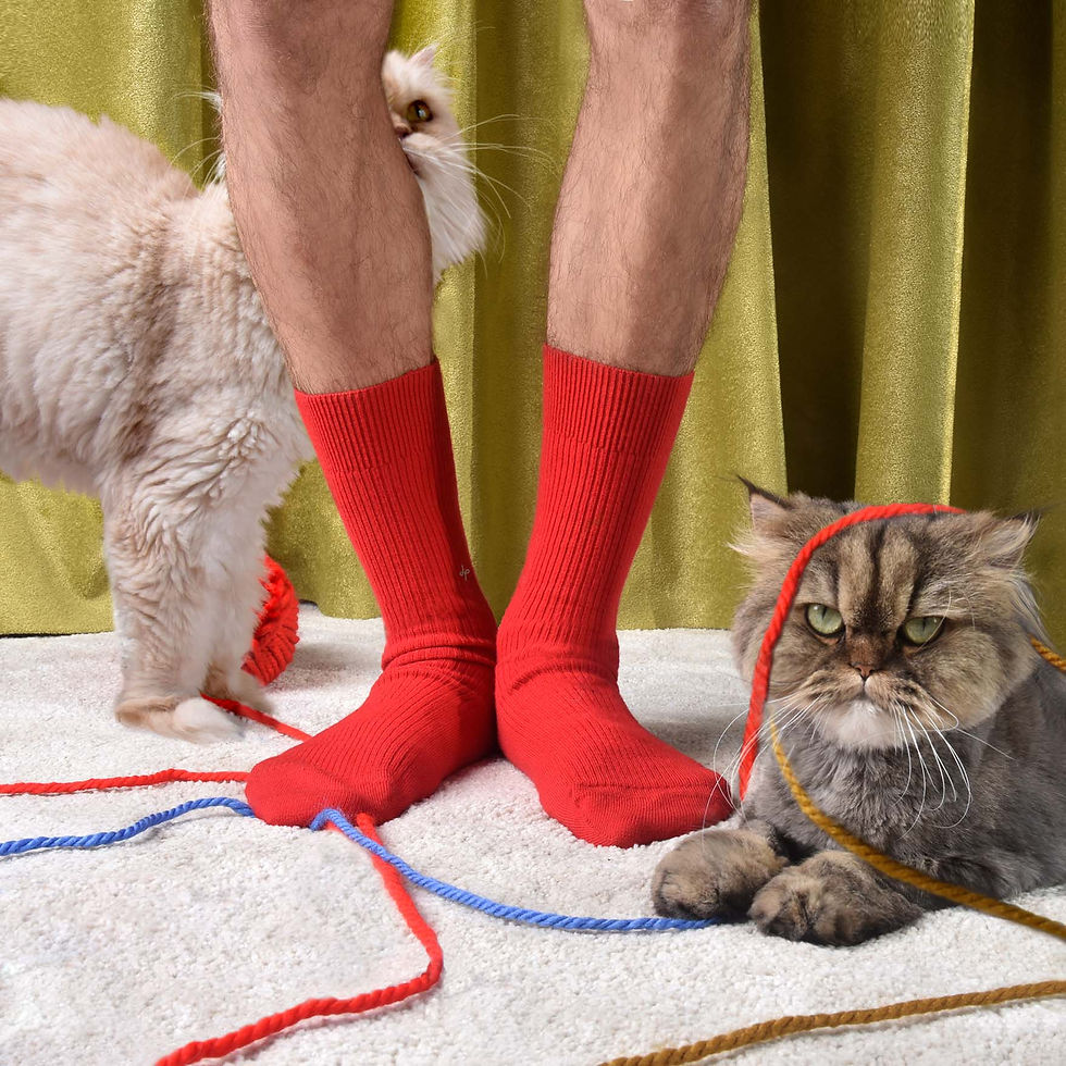 cat_and_socks.jpg