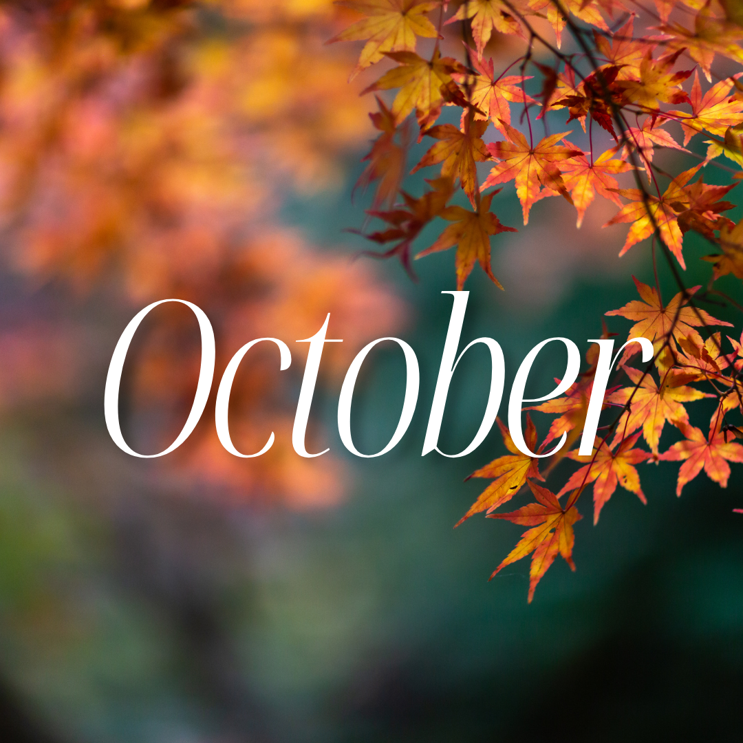 ASCEND LOGO (33).png