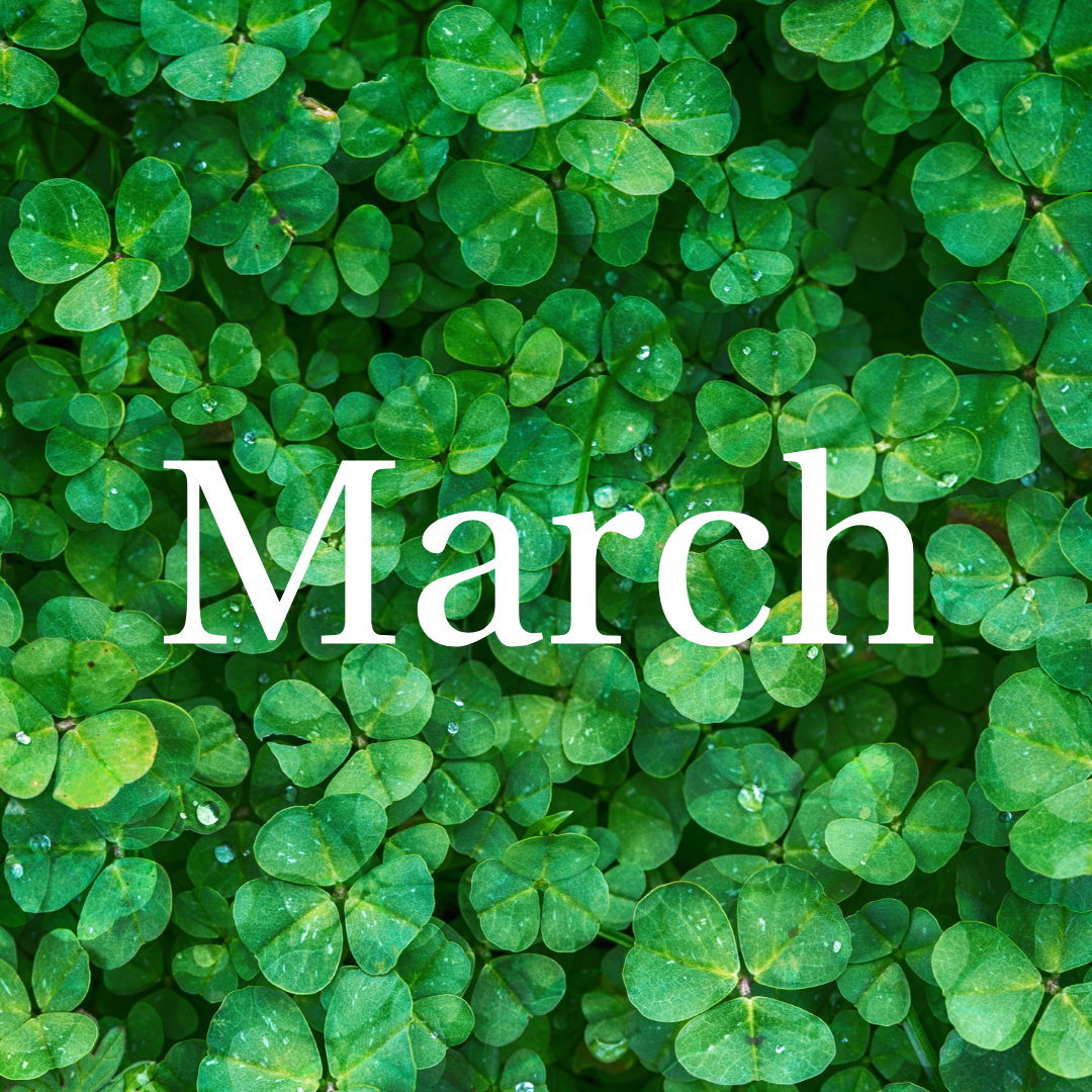 ASCEND LOGO (42).png