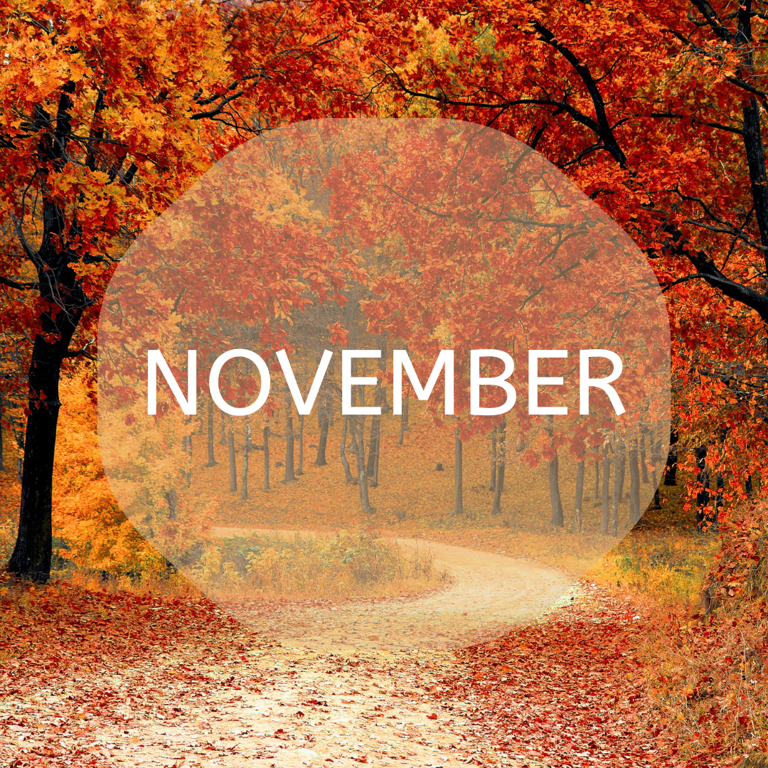 ASCEND LOGO (32).png