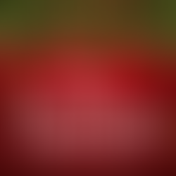 Featured Article - December 2025