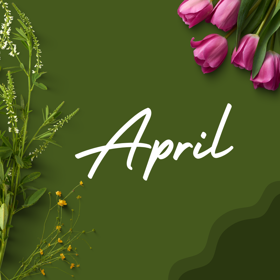 ASCEND LOGO (41).png