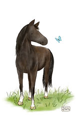 Horse Ferrero_no name.jpg
