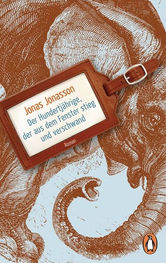 DER HUNTERDJÄHRIGE, DER AUS DEM FENSTER STIEG UND VERSCHWAND, Jonas Jonasson