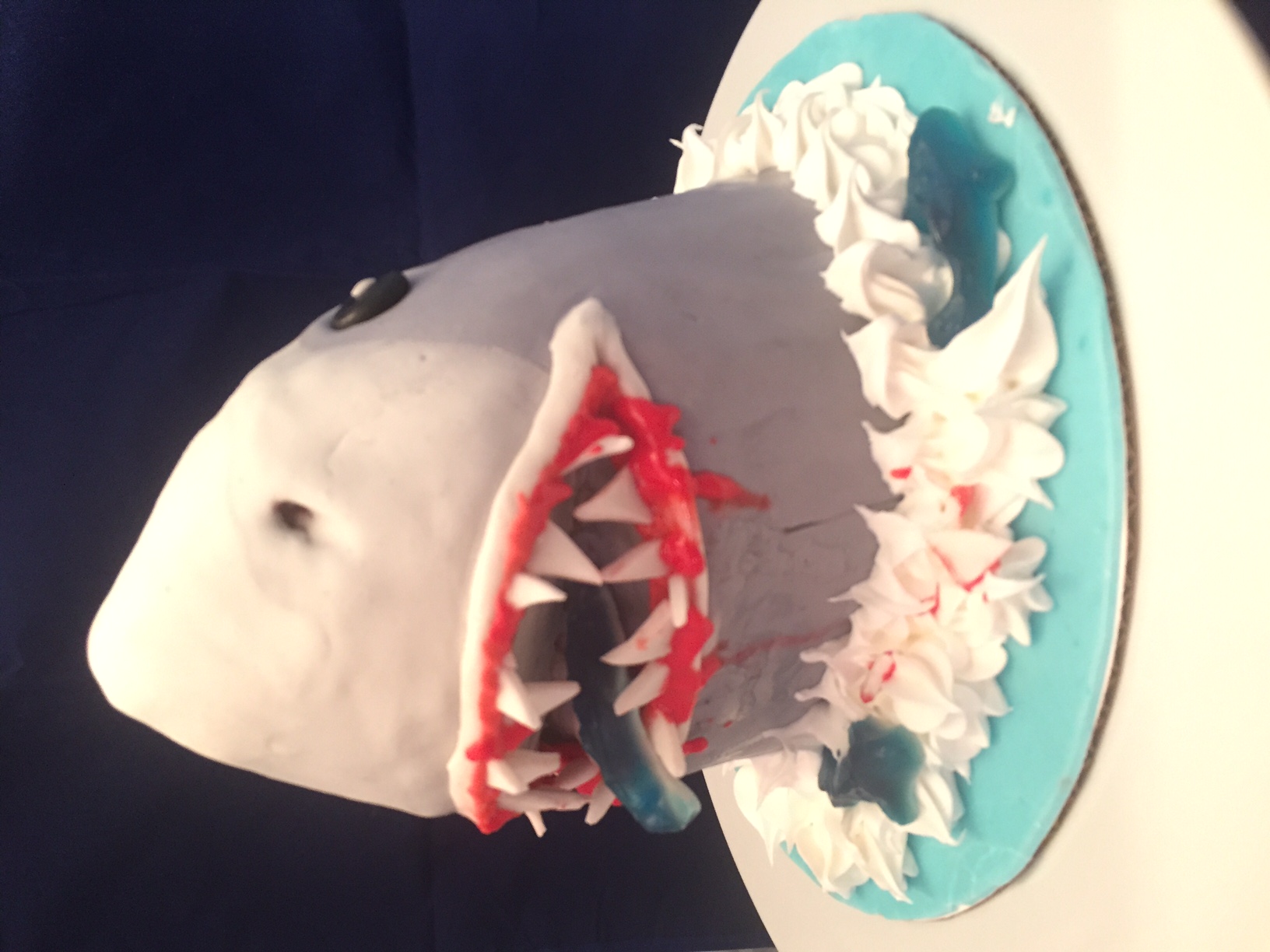 shark