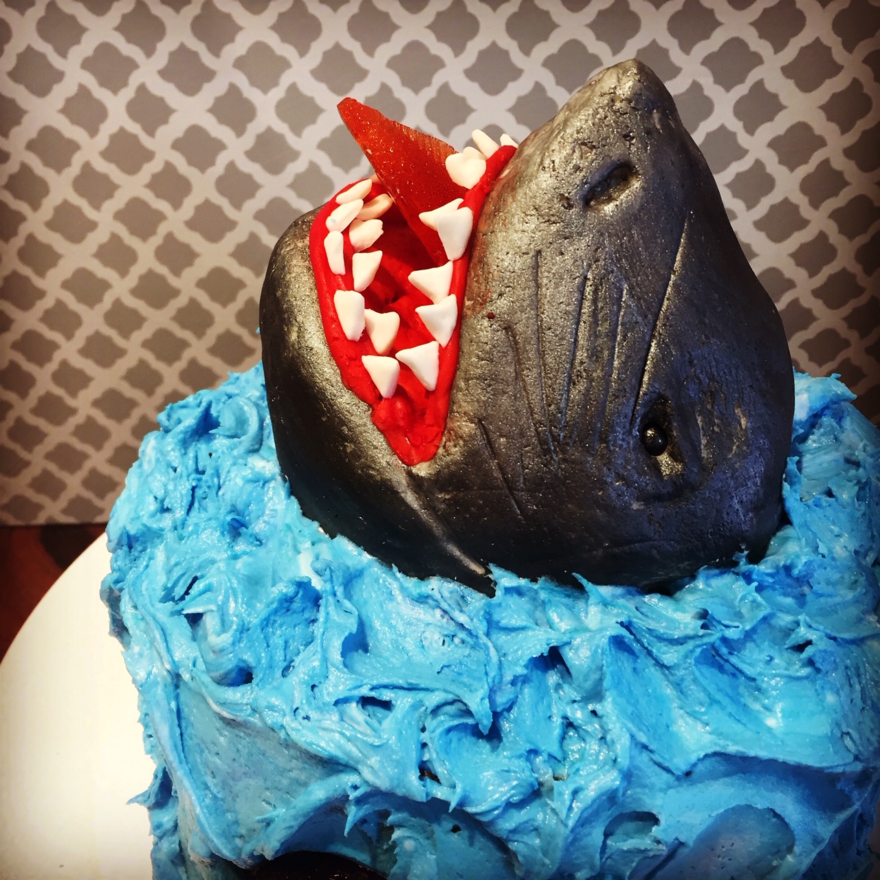 shark