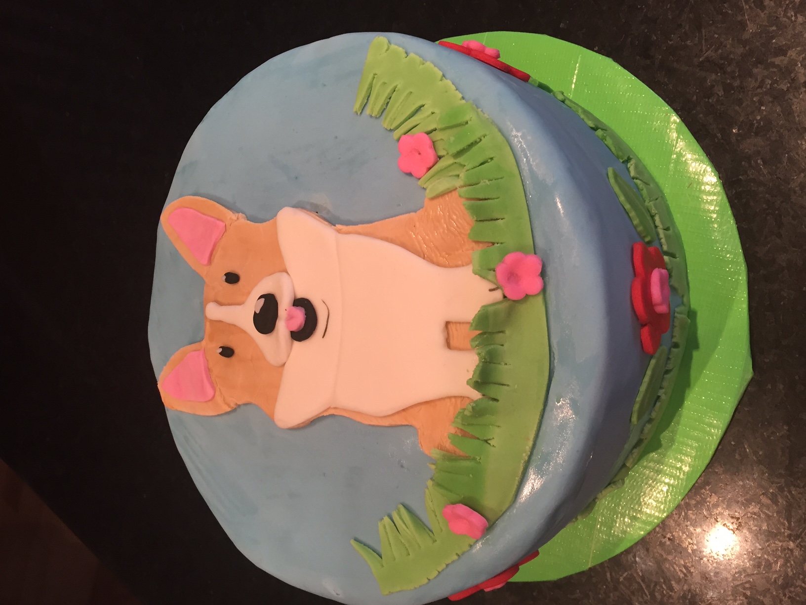 corgi 1