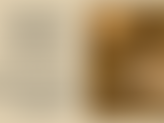 Welcome to MIDAS TOUCH by Shehzad Khan, Mumbai’s premier name in Gold Leafing, Gilding Art, and Restoration Services.