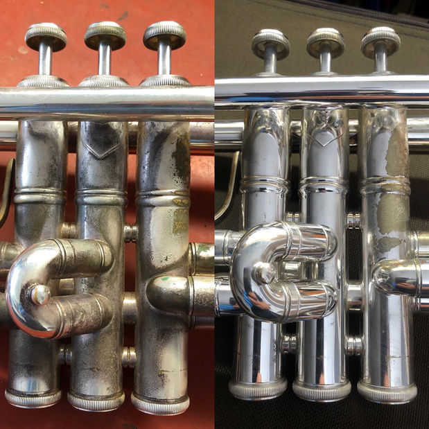 Silver Trumpet Flush.jpg