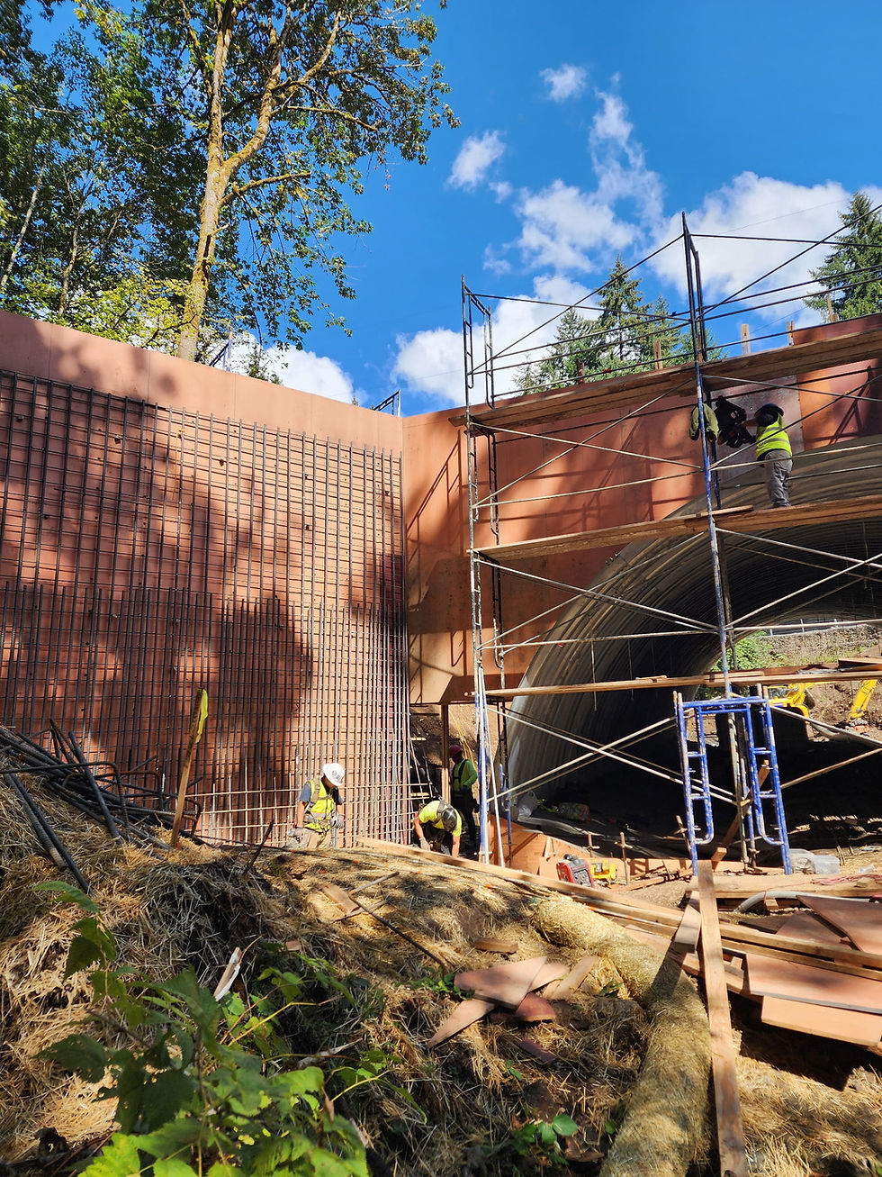 Bybee Creek head_wing walls
