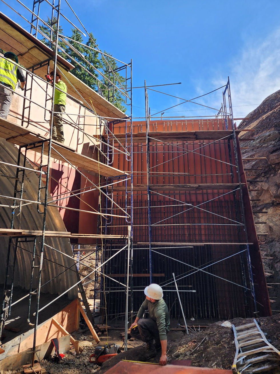 Bybee Creek head_wing walls