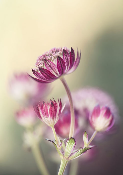 AdobeStock_382408335.jpeg