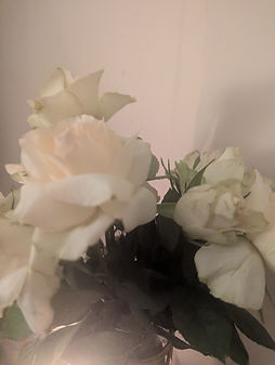 rose.jpg