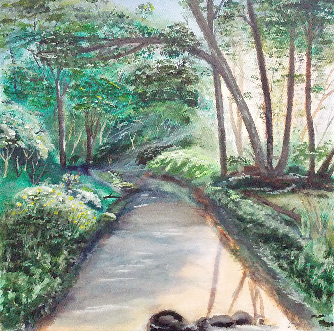 Backyard creek