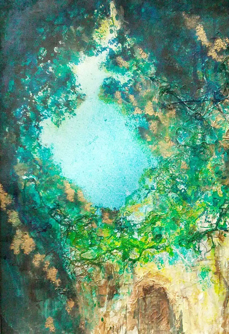 Window to the sky