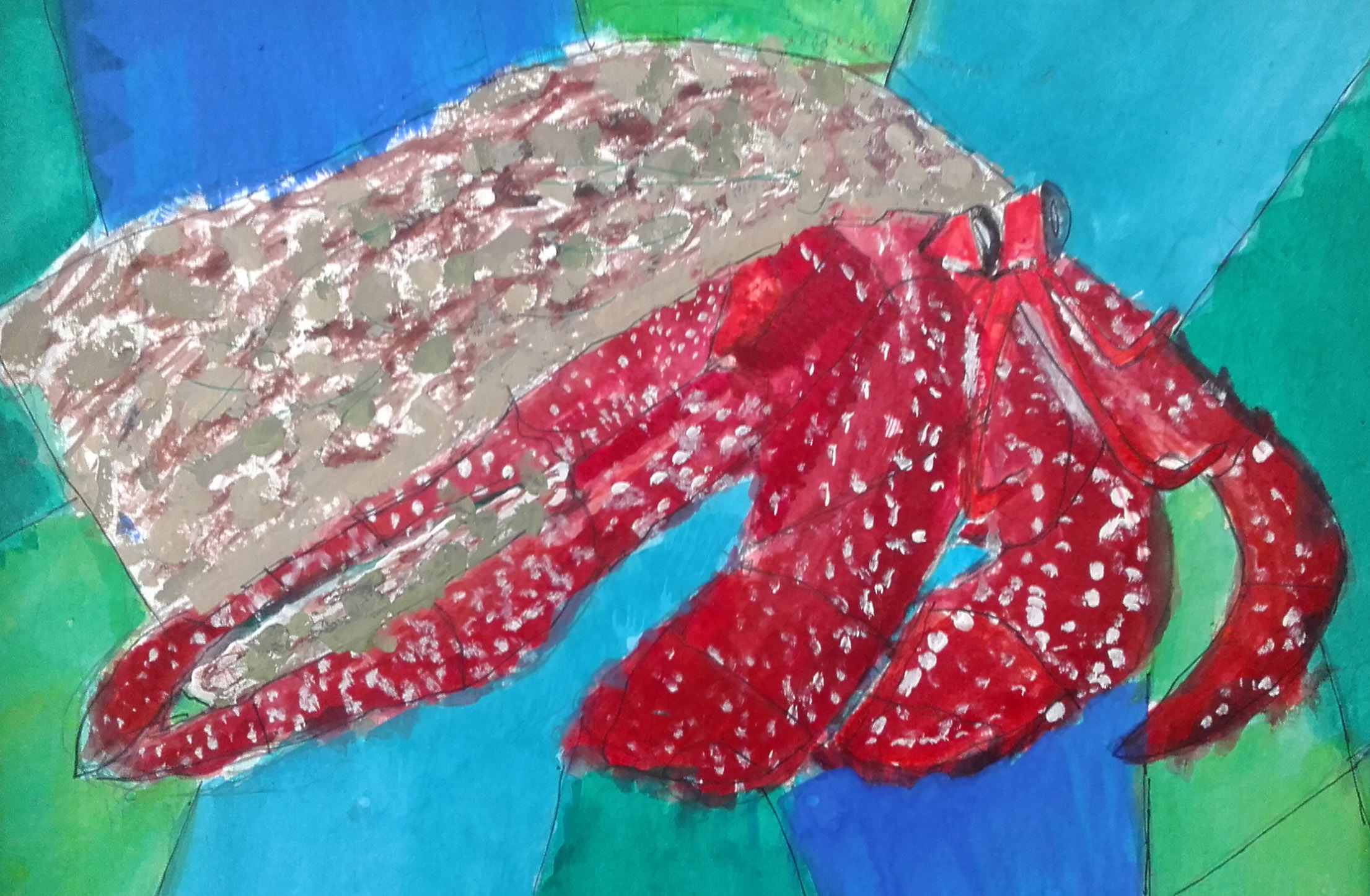 Hermit crab