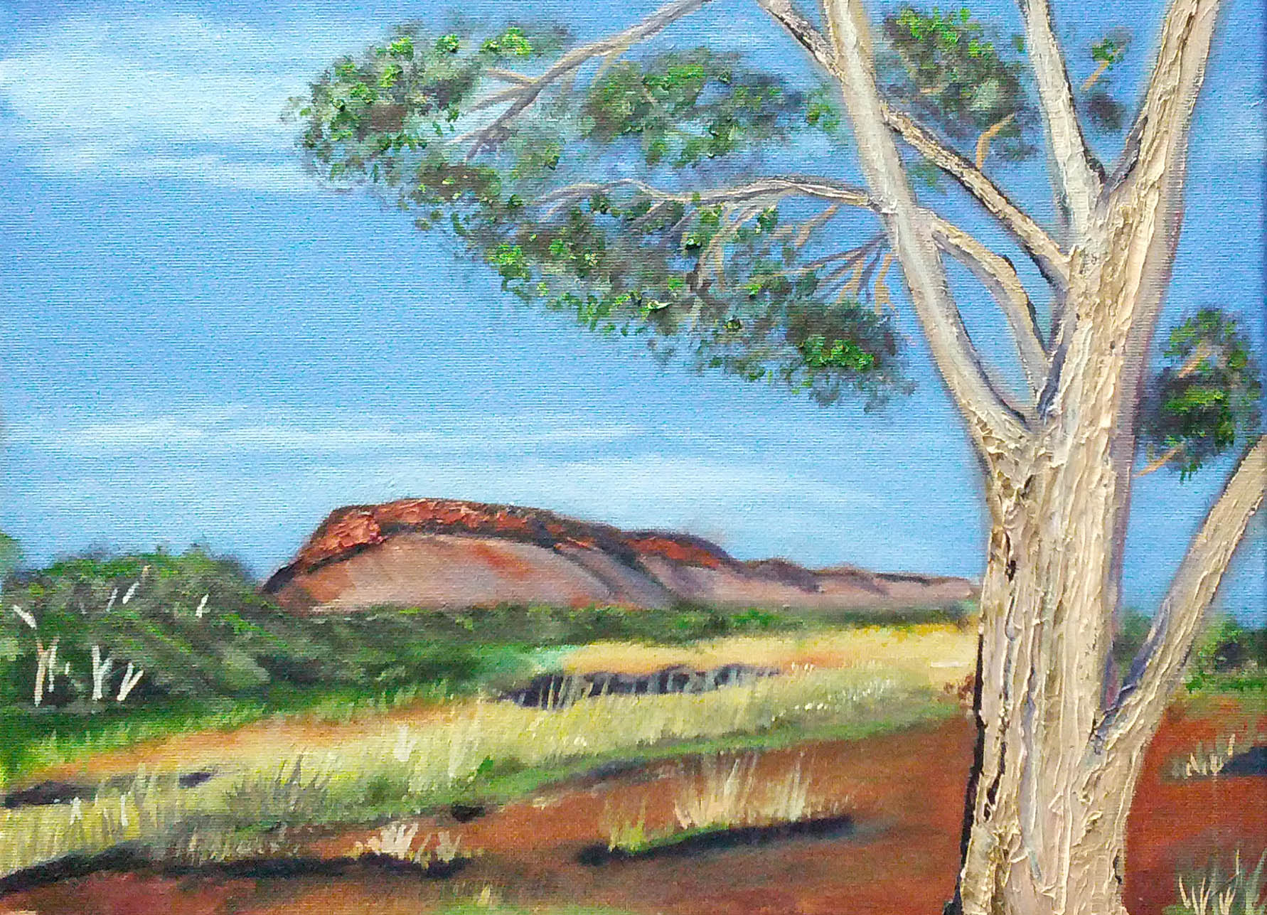 Outback track