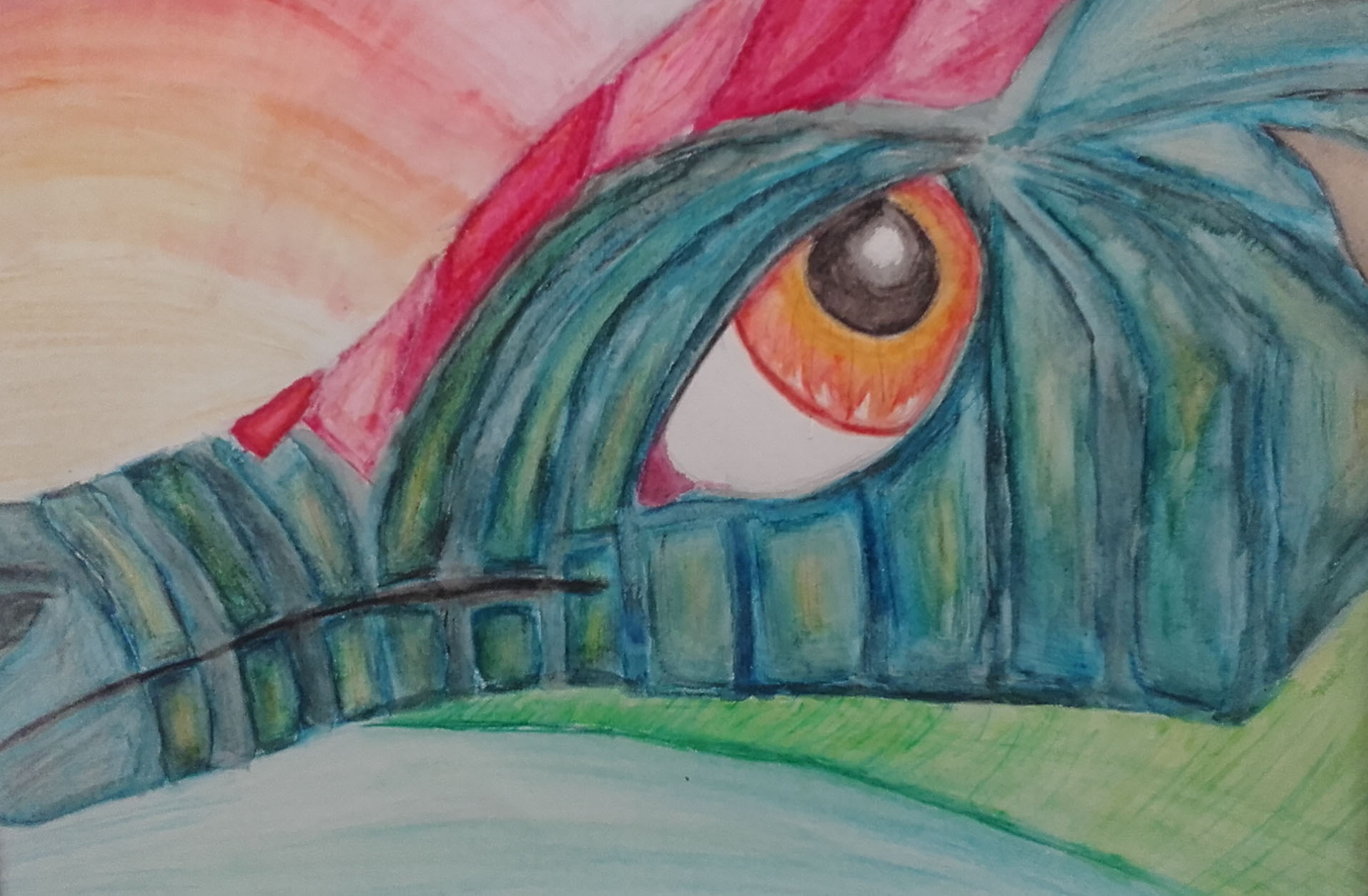 Dragon eye