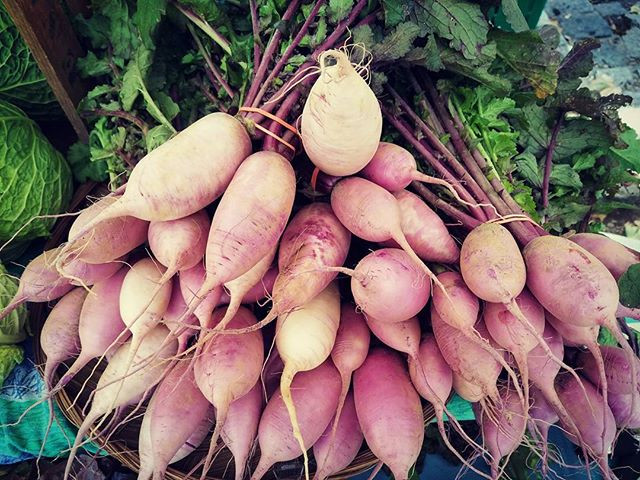 Fullscreen Page | Rambling Roots Farm