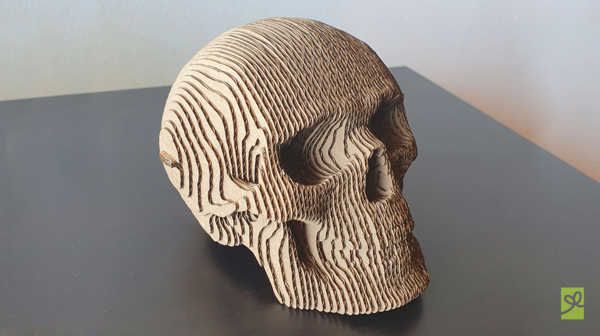 Calavera Cartón