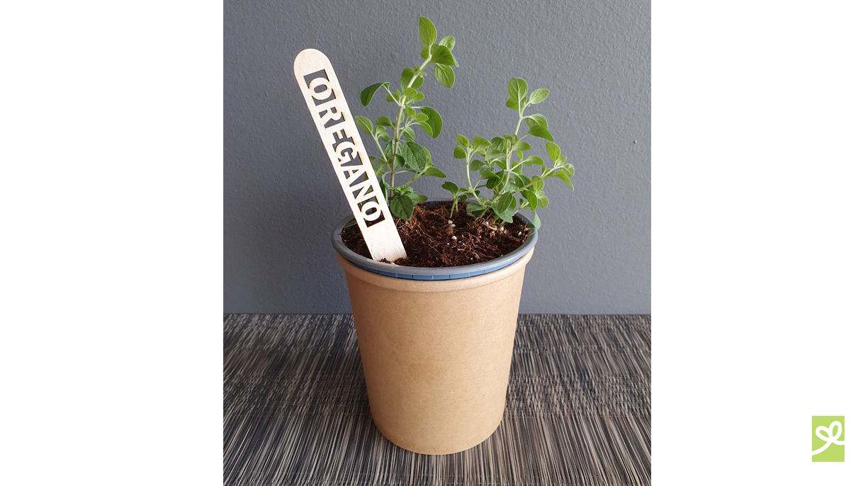 Estacas de madera para cultivos de jardín.