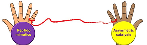 catalysts-13-00244-ag.png